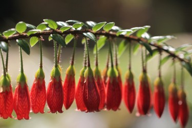 东莞私人快速借钱网，轻松解决资金难题