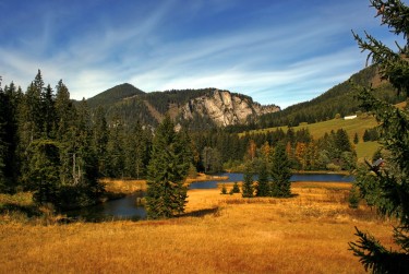 东莞民间私贷攻略：揭秘低成本借贷的秘密