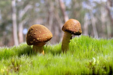 东莞私人老板放款：轻松融资的秘密通道